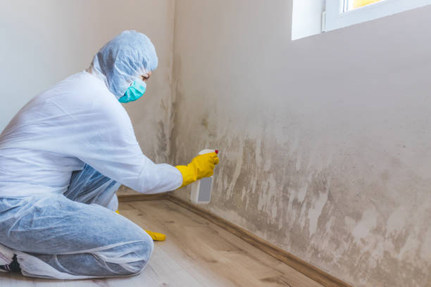 Bathroom Mold Removal assessment in Opa-locka bathroom