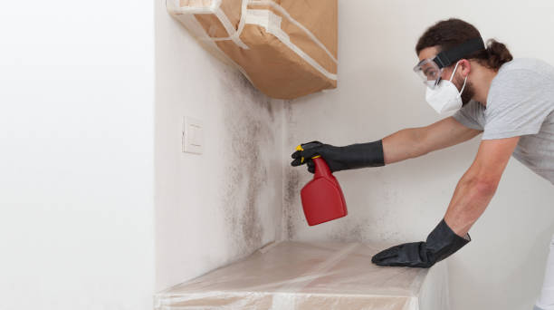 Attic Mold Remediation treatment on roof deck in Opa-locka
